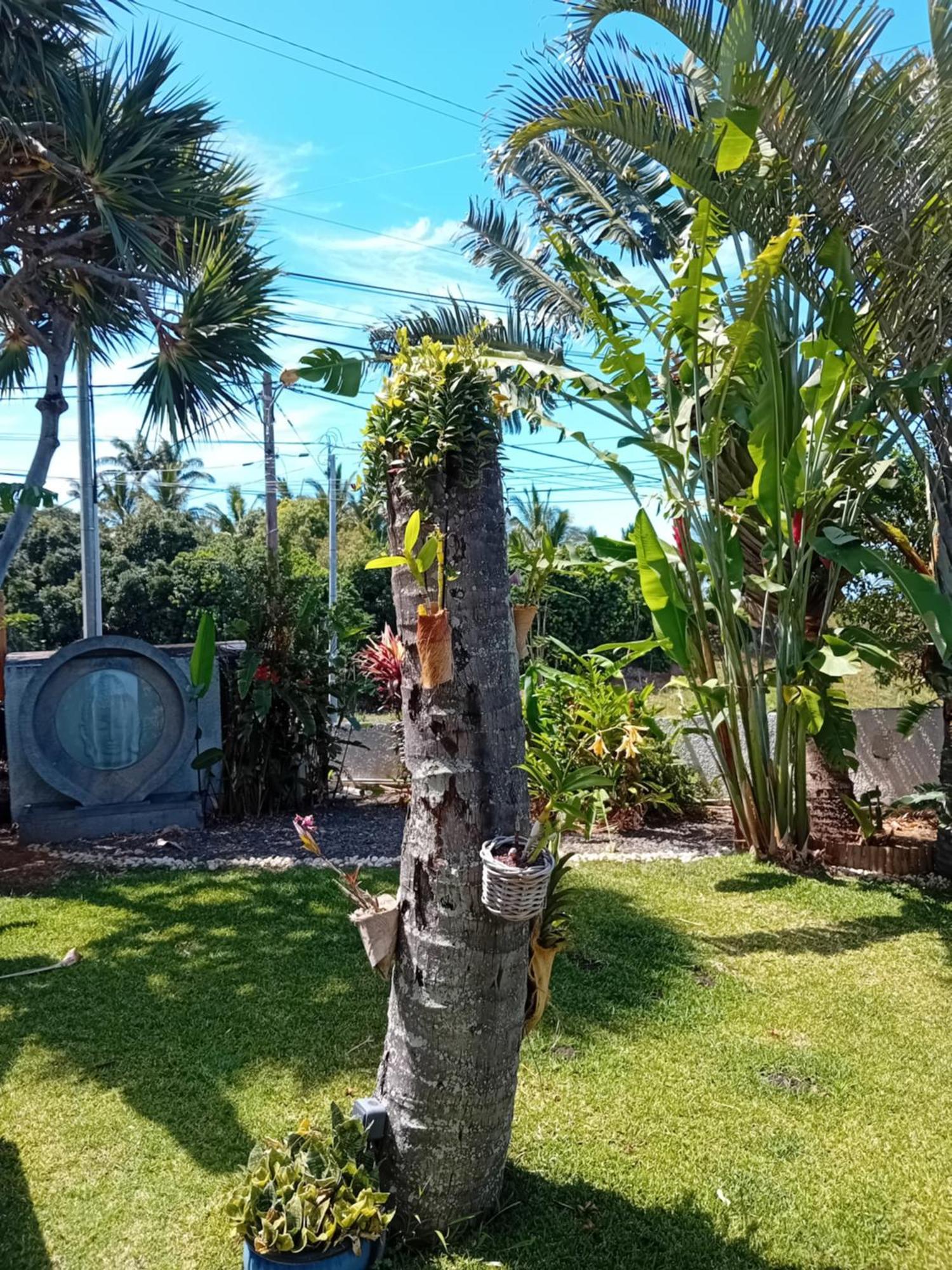 סן-פייר Villa Belza Et Spa (Adults Only) מראה חיצוני תמונה